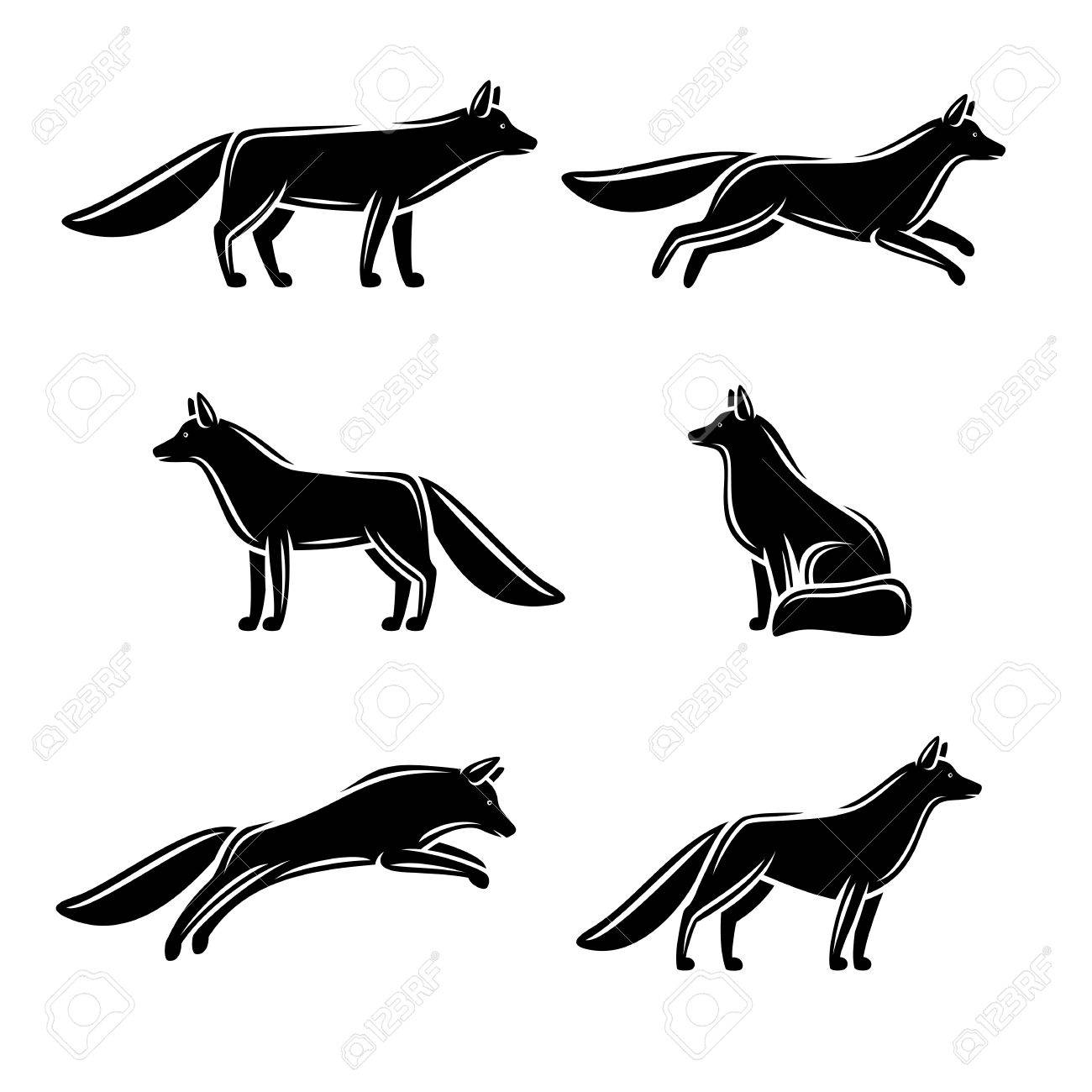 1300x1300 Coyote Clipart White Background