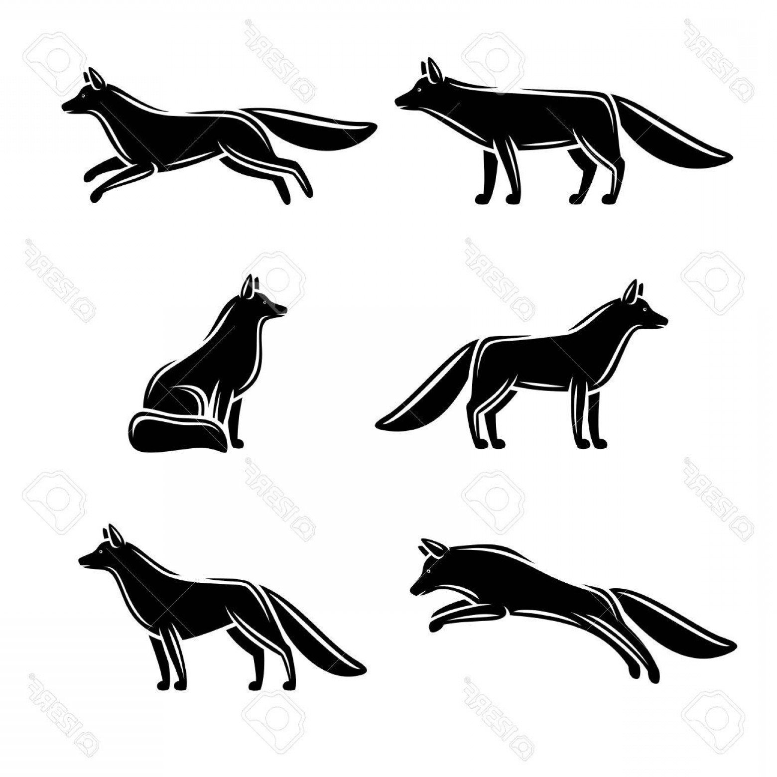 1560x1560 Photostock Vector Fox Set Vector Illustration Tail Background