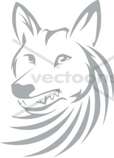 232x320 Cool Coyote Logo