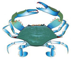 300x250 Blue Crab Vectorspirit Graphix Spirit Graphix
