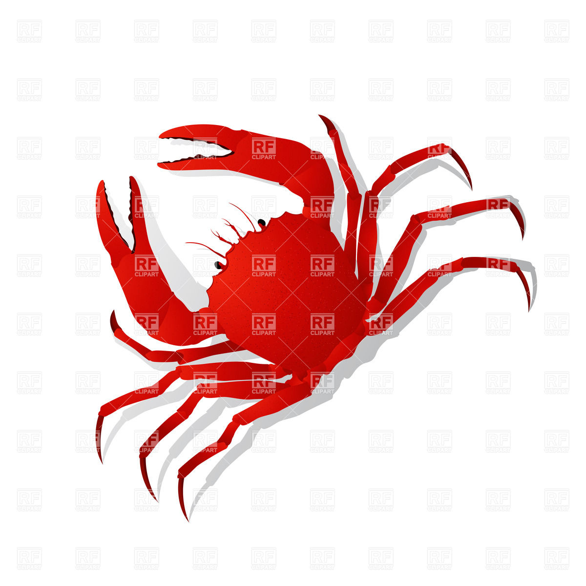 1200x1200 Red Crab Vector Image Vector Artwork Of Plants And Animals