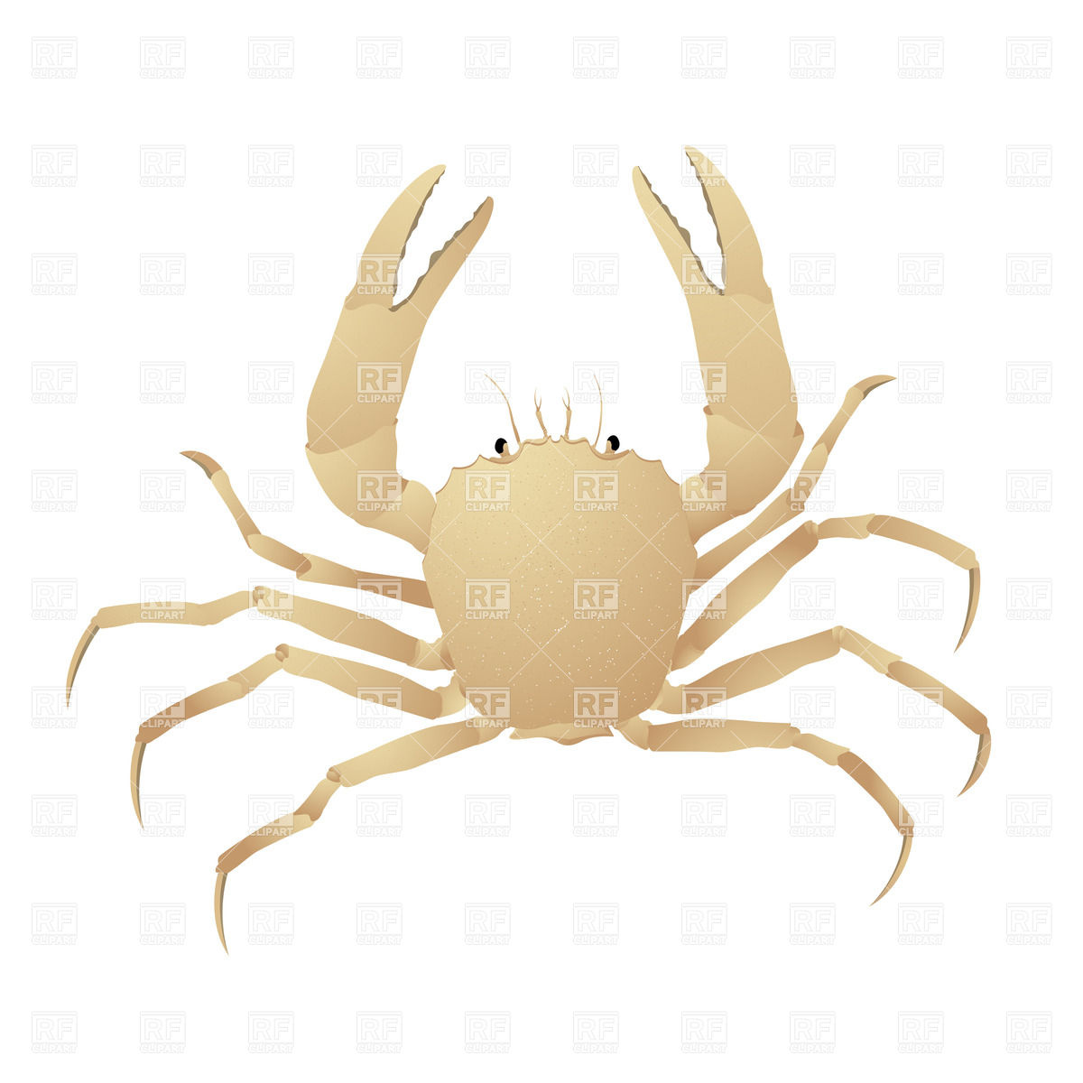 1200x1200 Crab Vector Image Vector Artwork Of Plants And Animals Lirch