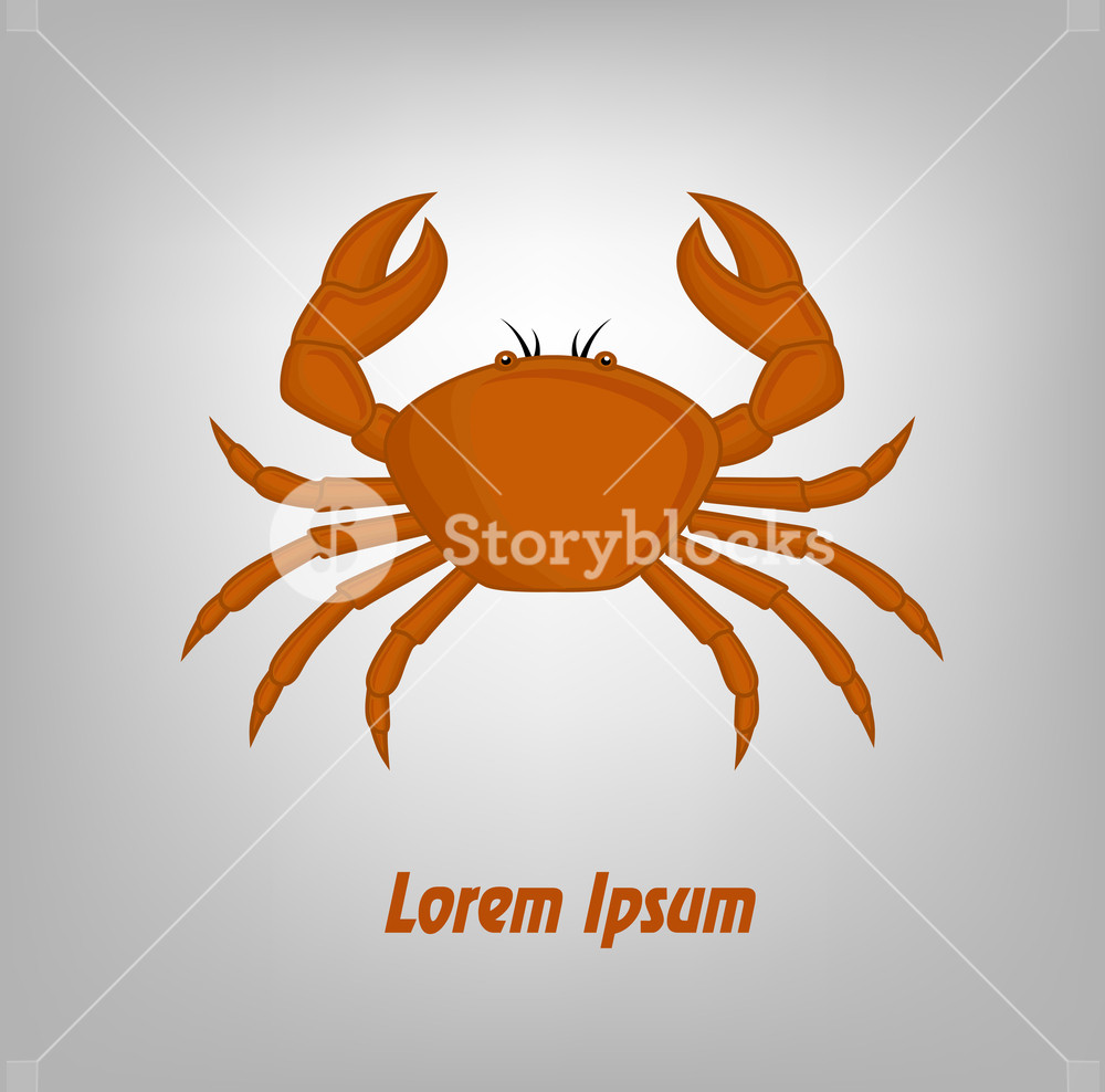 1000x988 Crab Vector Template Illustration Royalty Free Stock Image