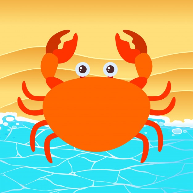 626x626 Crab Vectors, Photos And Psd Files Free Download