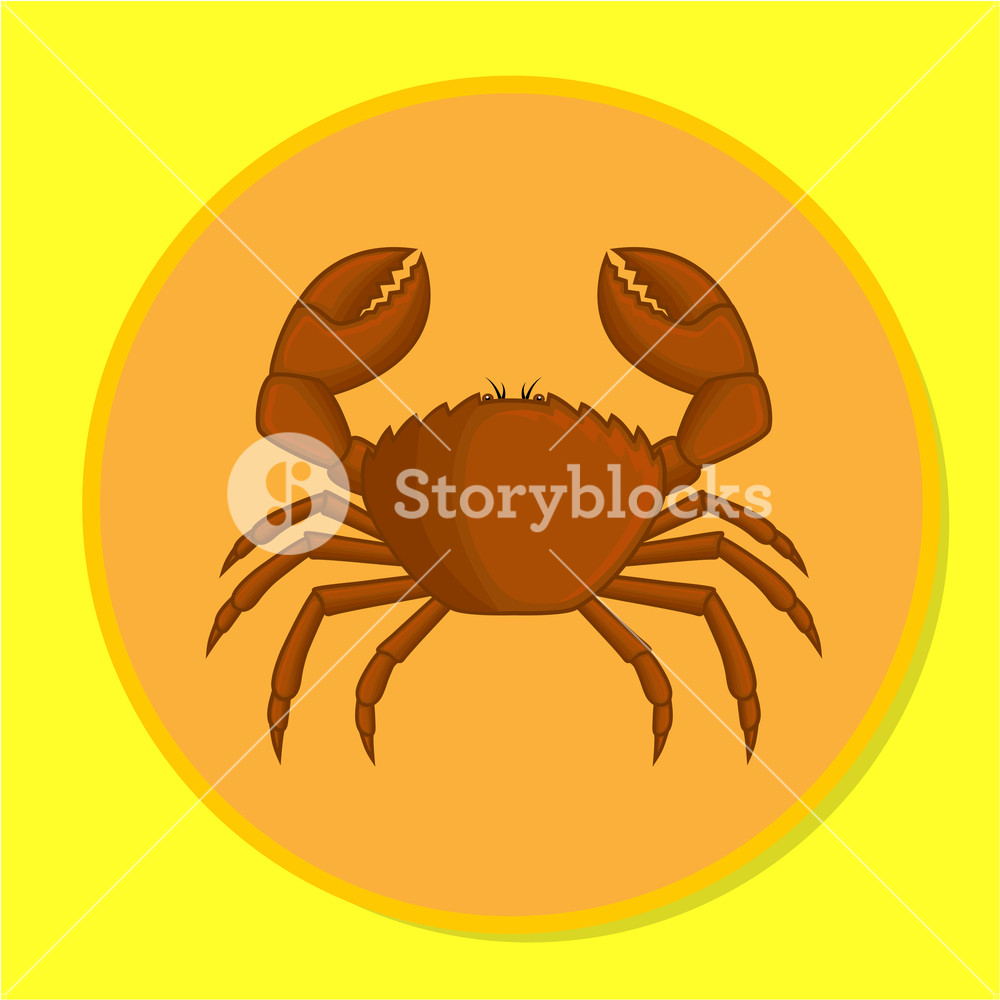 1000x1000 Sea Crab Vector Illustration Royalty Free Stock Image
