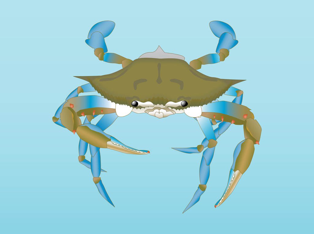 1024x765 Vector Crab Vector Art Amp Graphics