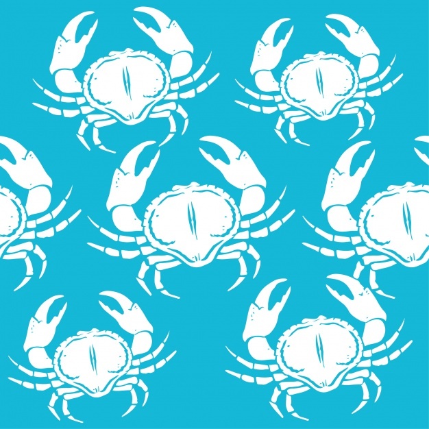 626x626 Blue Crab Vectors, Photos And Psd Files Free Download