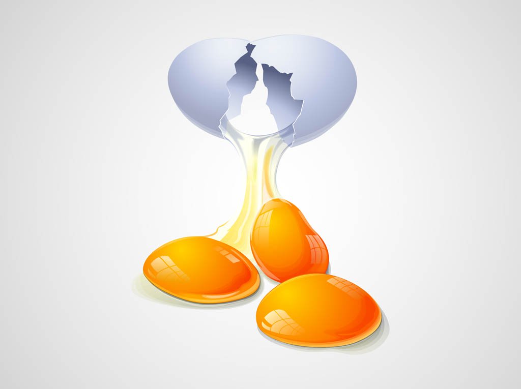 1024x765 Cracked Egg Vector Vector Art Amp Graphics