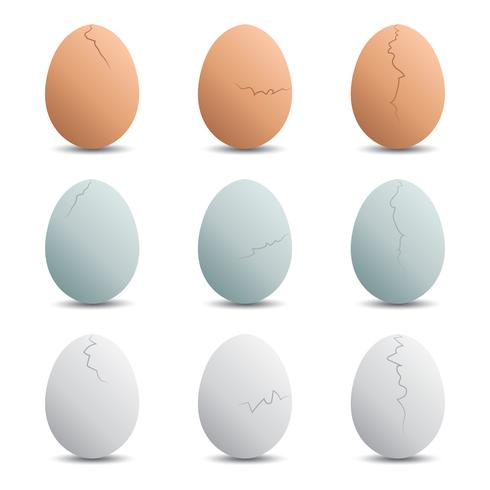 490x490 Cracked Egg Vectors