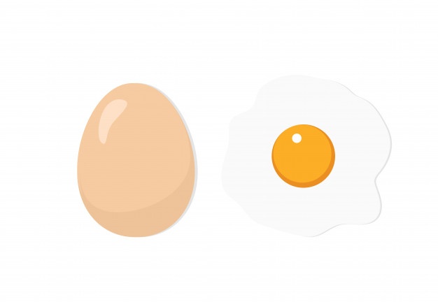 626x432 Egg Vectors, Photos And Psd Files Free Download