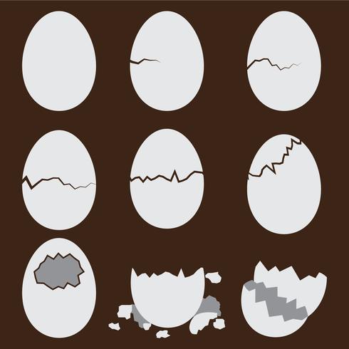 490x490 Broken Egg Vectors