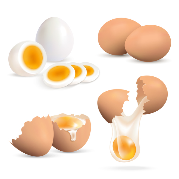600x600 Eggs Realistic Set Free Download