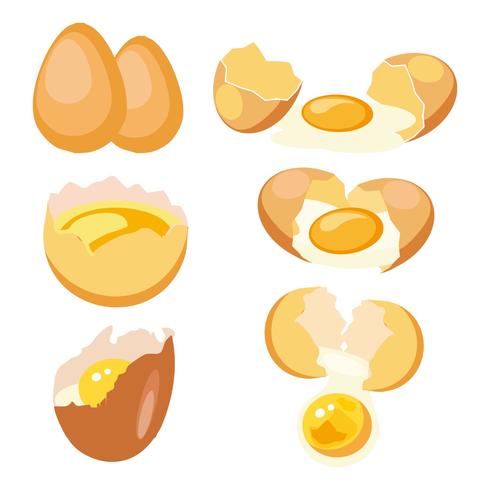 490x490 Free Broken Chicken Egg With Yolk Vector