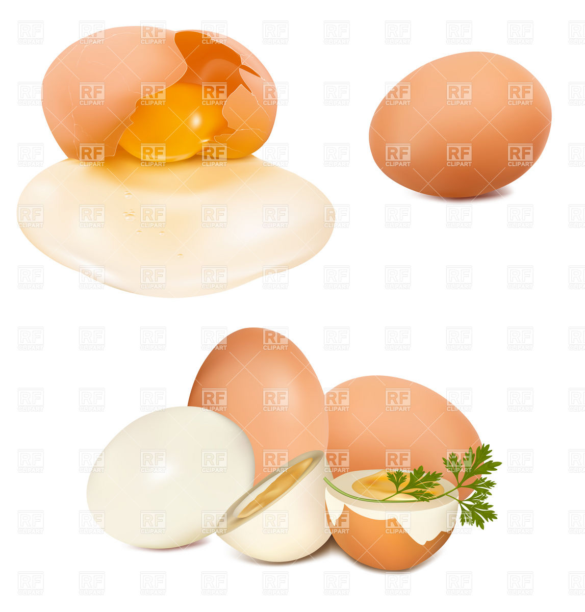 1147x1200 Whole, Cracked And Half Of An Egg Vector Image Vector Artwork Of