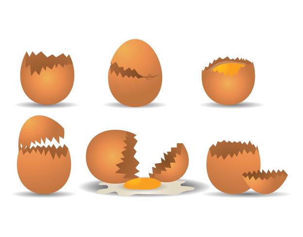 624x490 Broken Egg Vector Set