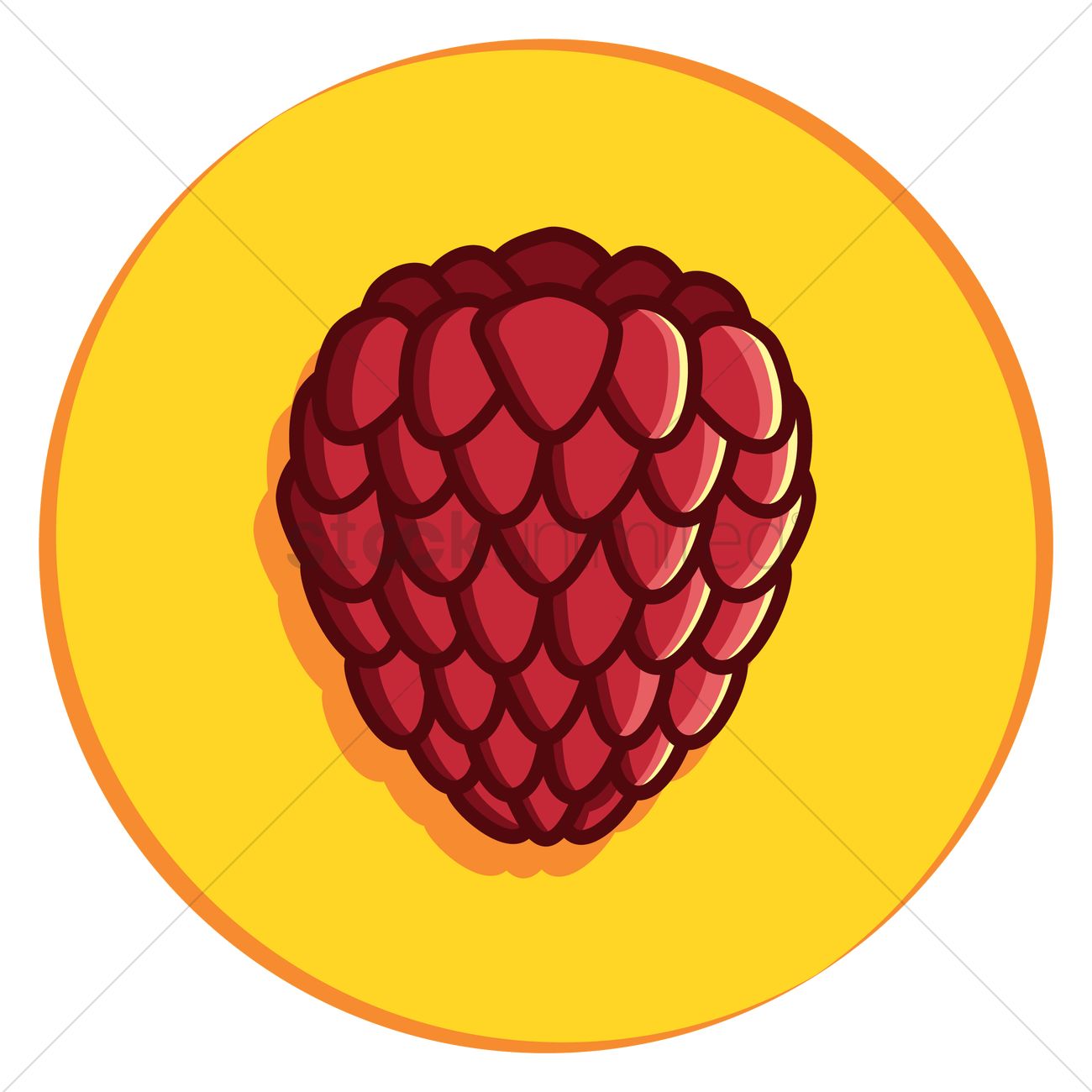 1300x1300 Cranberry Vector Image