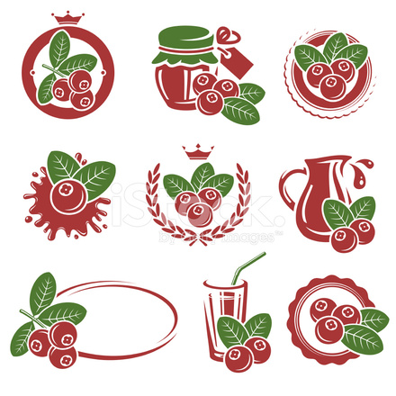 440x440 Cranberry Vector Stock Vector