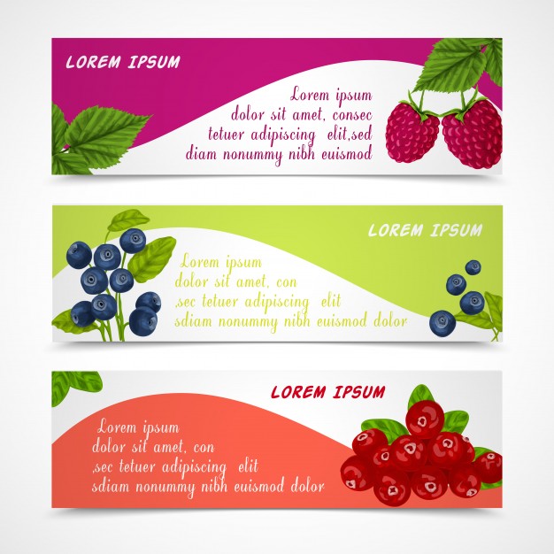 626x626 Cranberry Vectors, Photos And Psd Files Free Download