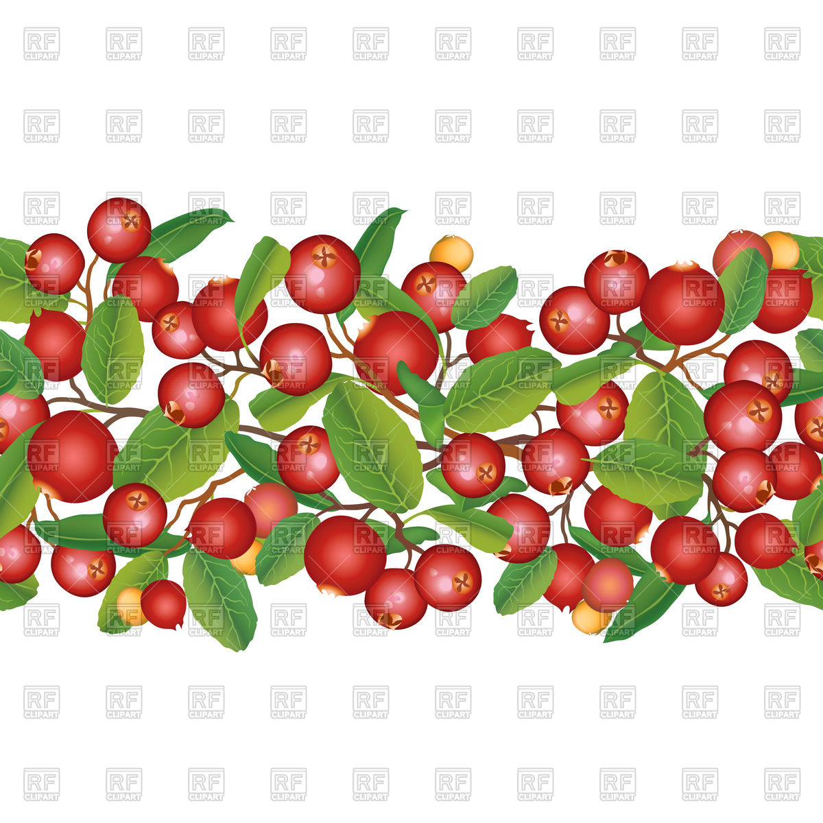 1200x1200 Cranberry Seamless Pattern Vector Image Vector Artwork Of