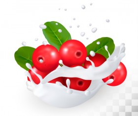 280x235 Cranberry Vector