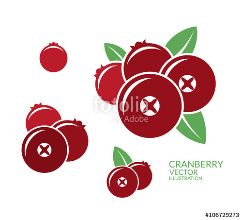 500x453 Cranberry. Icon Set Stock Image And Royalty Free Vector Files On