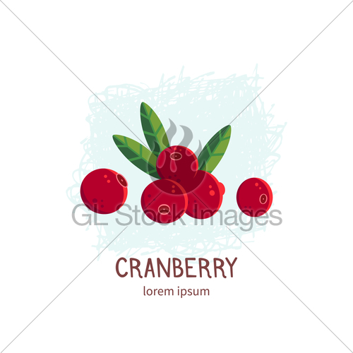 500x500 Fresh And Ripe Cranberry Vector Illustration Gl Stock Images