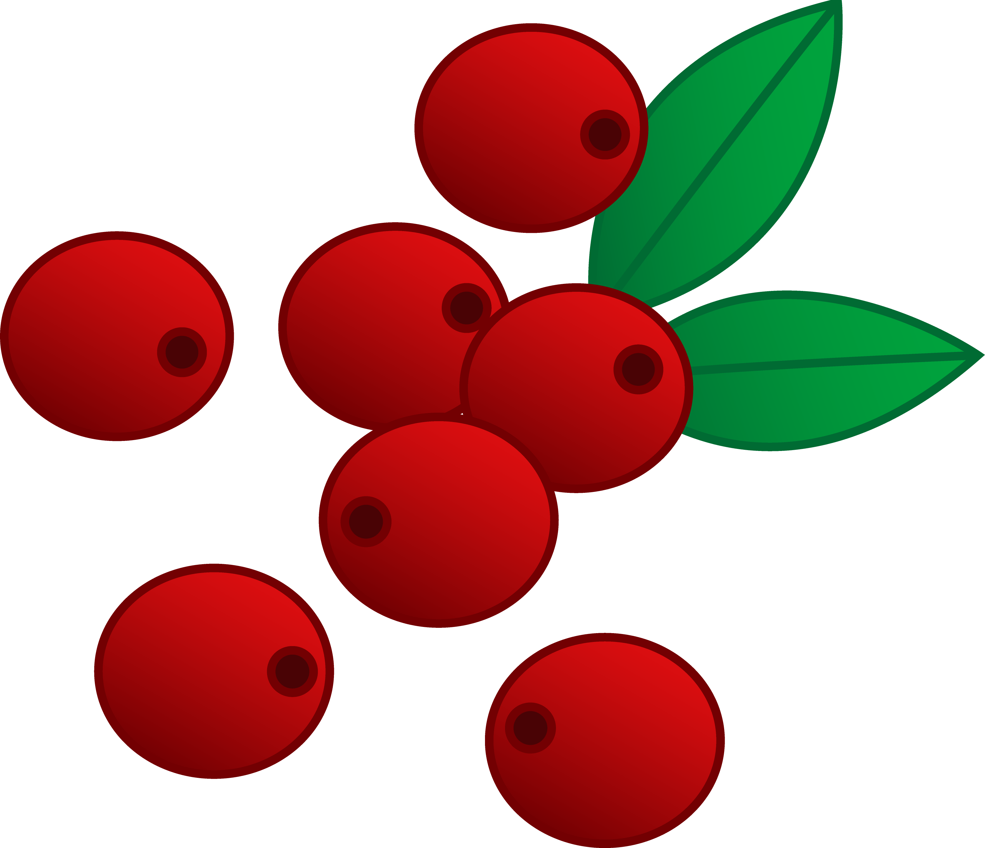 3345x2877 Red Cranberries Vector Art
