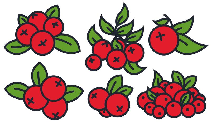 804x490 Vector Cranberry Icon Set