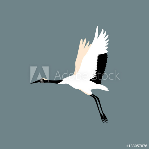 500x500 Crane Bird Vector Illustration Style Flat