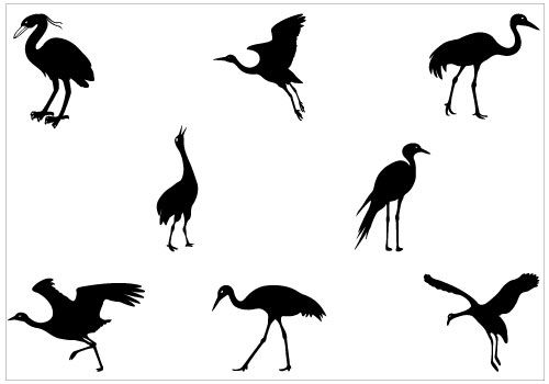 500x350 Birds Vector Graphics Archives