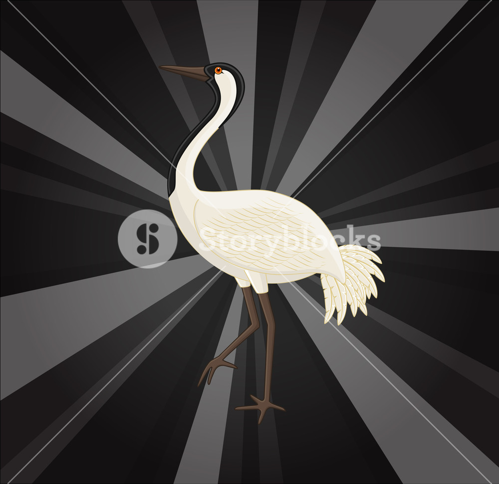 1000x970 Grateful Crane Bird Vector Illustration Royalty Free Stock Image