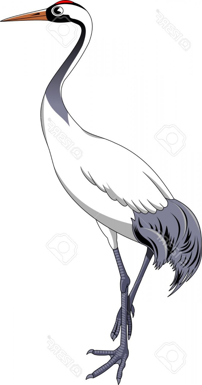 820x1560 Photostock Vector Cartoon Crane Bird Vector Illustration With