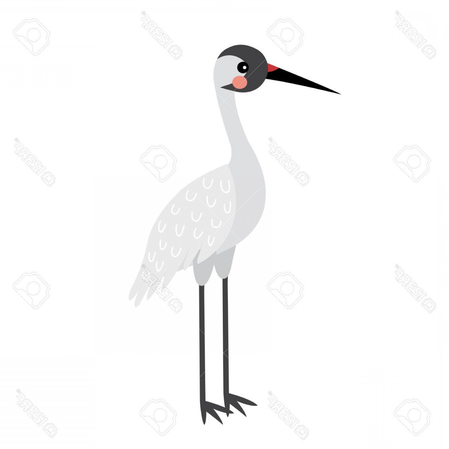 1560x1560 Photostock Vector Standing Crane Bird Animal Cartoon Character