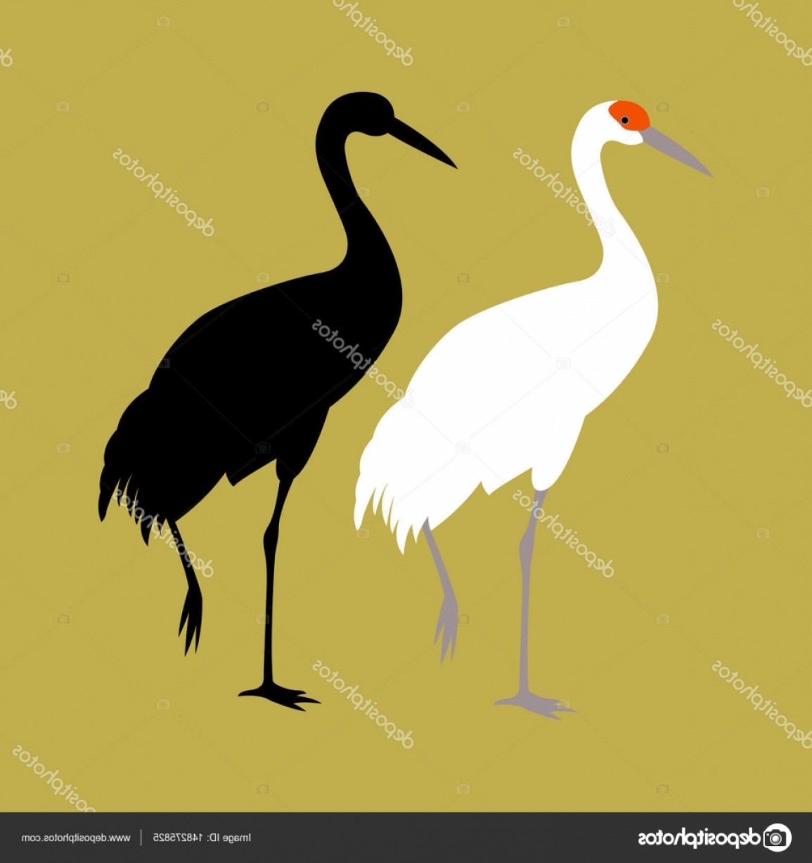 1155x1228 Stock Illustration Crane Bird Vector Illustration Style Lazttweet