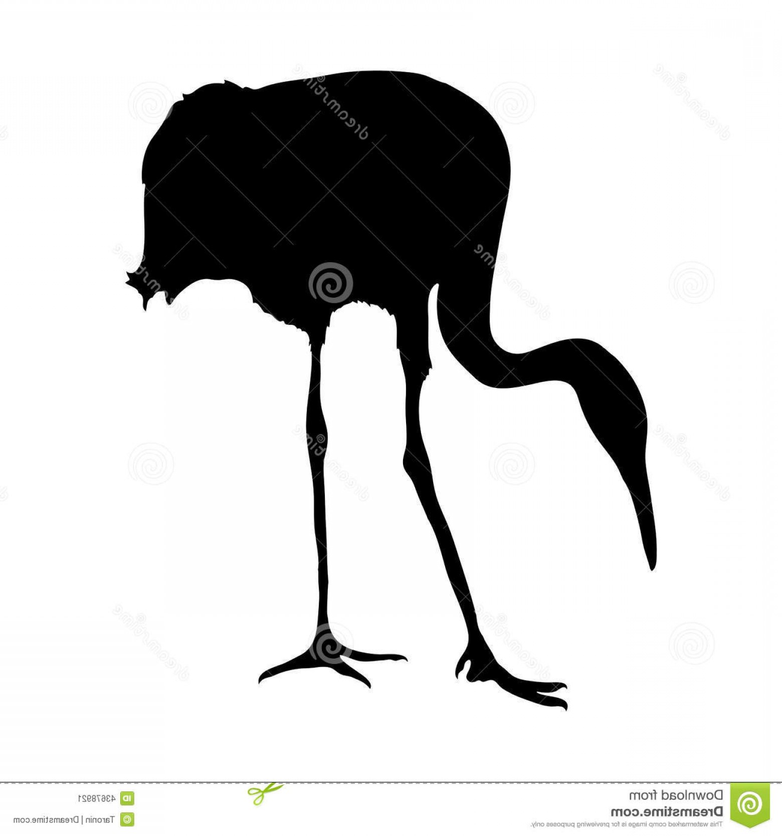 1560x1668 Stock Illustration Crane Bird White Vector Silhouette Image