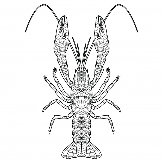 626x626 Crawfish Vectors, Photos And Psd Files Free Download