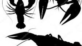 280x158 Crawfish Clip Art Free Vector All About Clipart