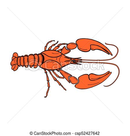 450x470 Crawfish Vector Illustration Of Orange Cancer.