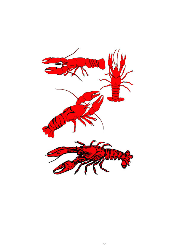 570x827 Crawfish Clipart Cajun Food