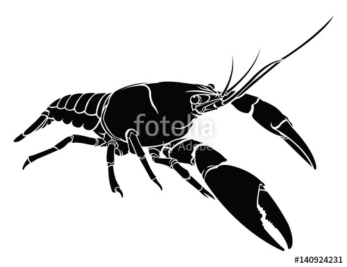 500x385 Crayfish, Lobster Vector Silhouette Isolated. Stock Image And