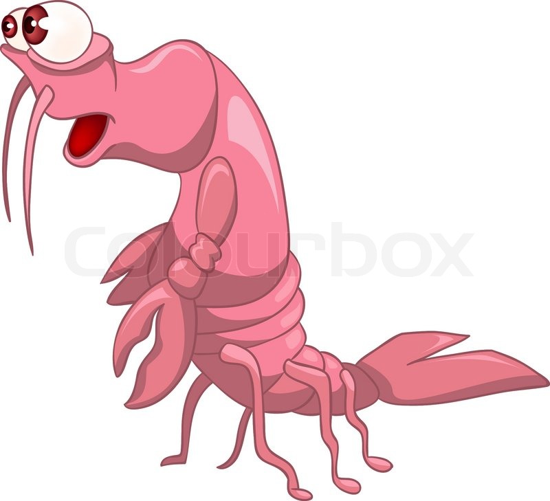 800x729 Cartoon Character Crawfish Isolated On White Background Vector