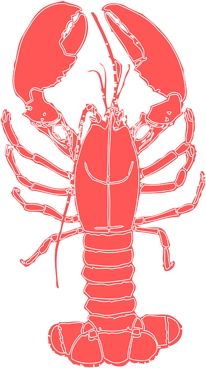 404x720 Collection Of Free Crawfish Vector Cartoon. Download On Ubisafe