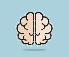 240x200 Creative Human Brain Vector Stock Vectors