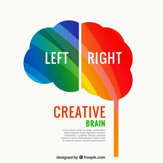 626x626 Creative Brain Vector Free Download