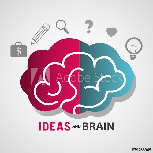 500x500 Creative Brain Vector Design Illustration