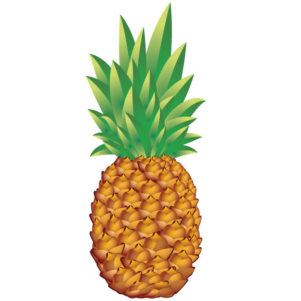 620x620 Pineapple Vector