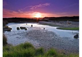 286x200 Creek Free Vector Art