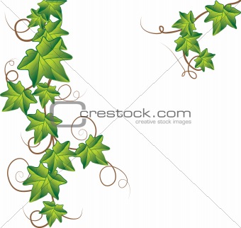 340x322 Creeper Vector Illustrations