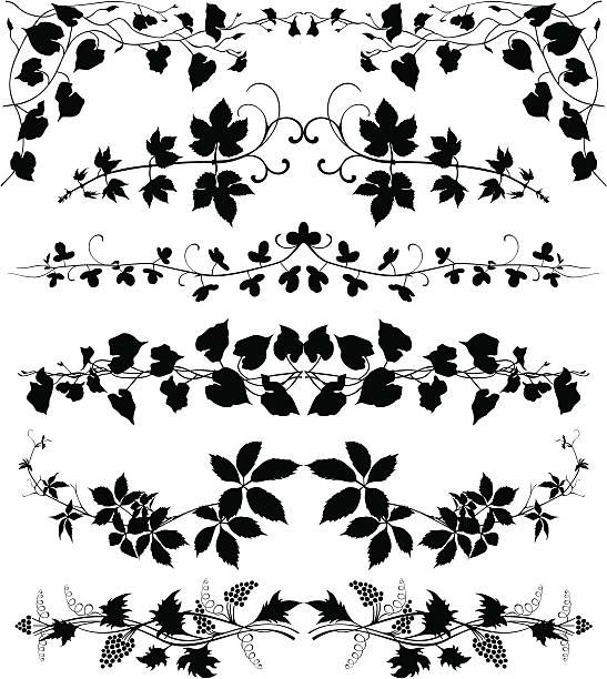 547x612 Creeper Plants Set Vector Art Illustration Floral, Vine, Plant