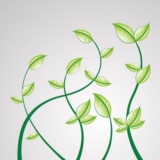 680x680 Free Green Creeper Plant Floral Psd Files, Vectors Amp Graphics